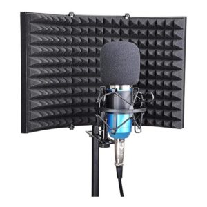 W10 Cortaviento / Espuma Negra Grande para Microfono de Estudio de Grabacion Takstar